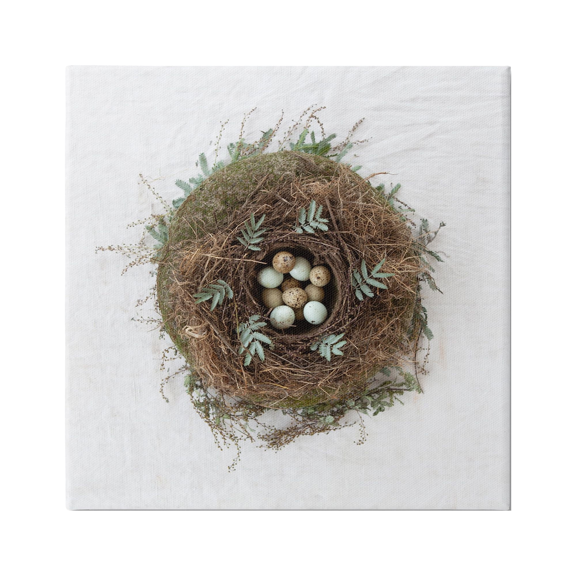 Stupell Industries Peaceful Bird Nest Speckled Eggs Nature Photography Photograph Gallery Wrapped Canvas Print Wall Art, Design by Tania Soderman