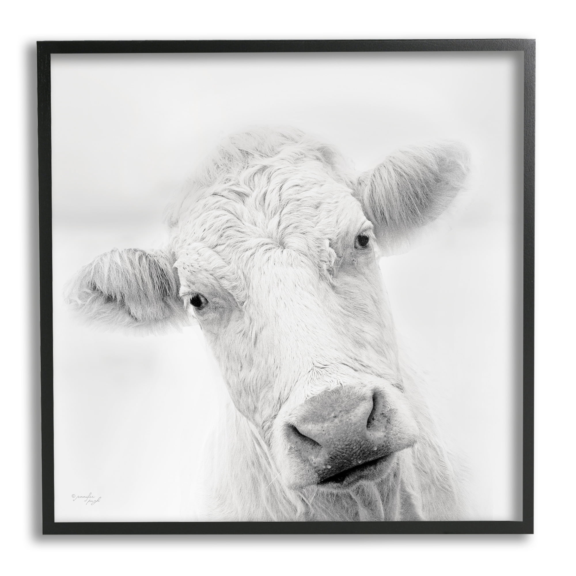 Stupell Industries Peaceful Cattle Portrait Close Up Rural Wildlife Photograph Black Framed Art Print Wall Art, Design by Jennifer Pugh