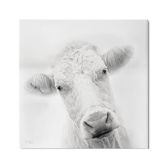 Stupell Industries Peaceful Cattle Portrait Close Up Rural Wildlife Photograph Gallery Wrapped Canvas Print Wall Art, Design by Jennifer Pugh