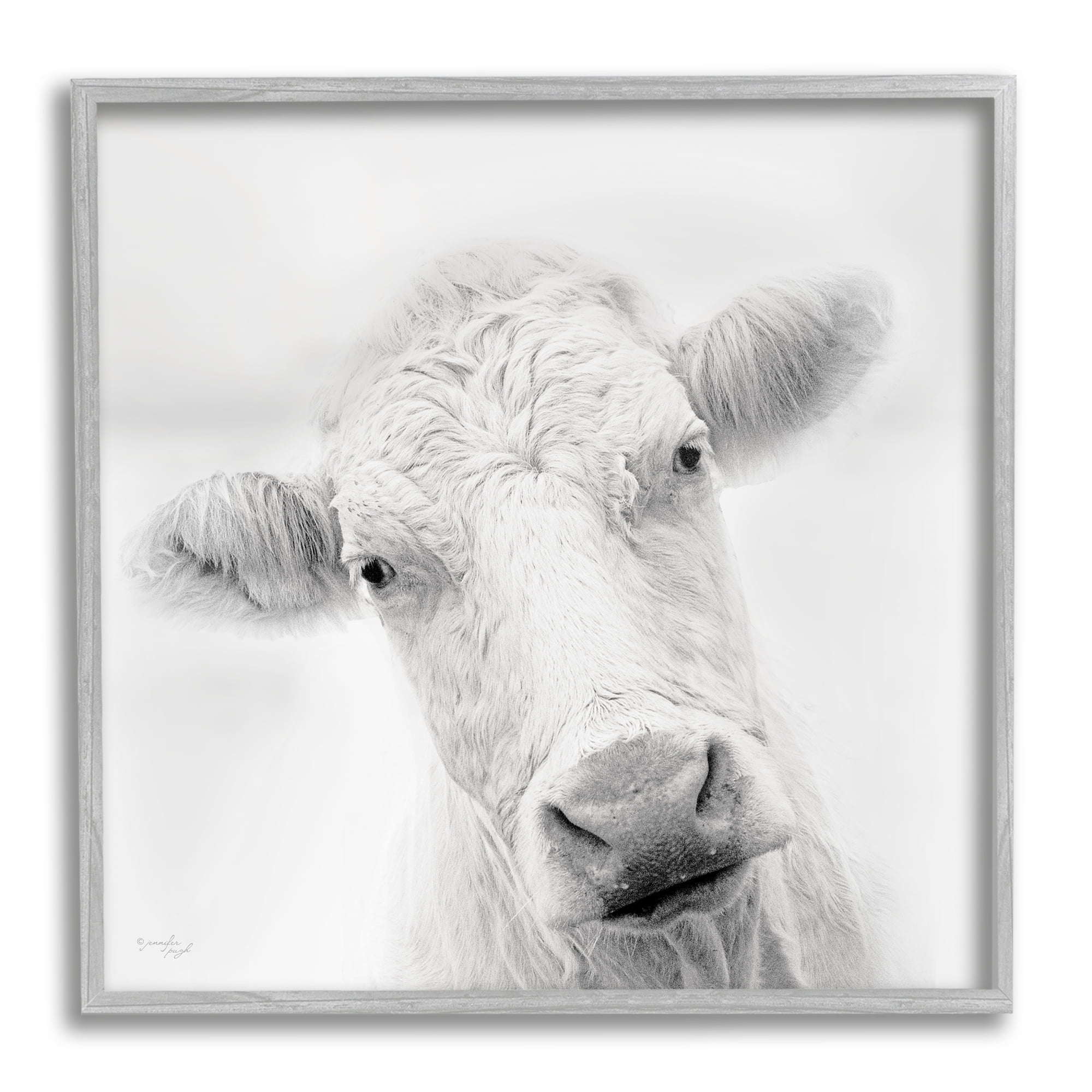 Stupell Industries Peaceful Cattle Portrait Close Up Rural Wildlife Photograph Gray Framed Art Print Wall Art, Design by Jennifer Pugh