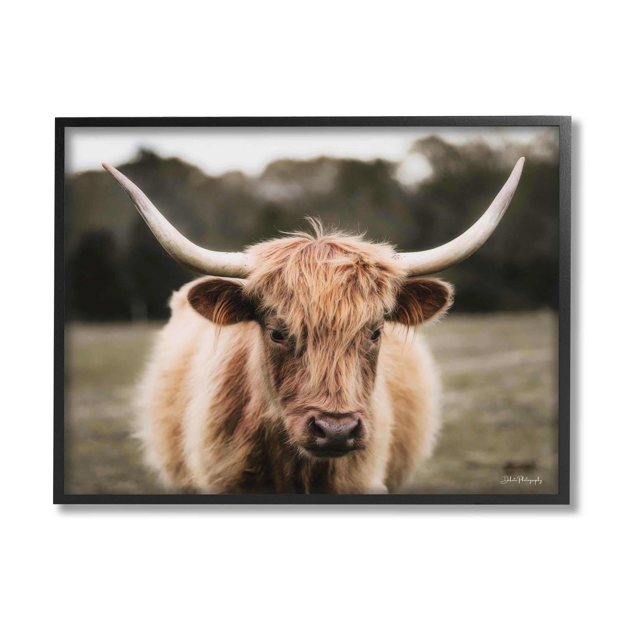 Stupell Industries Peaceful Cattle Rural Open Farmland Photograph Black Framed Art Print Wall Art, Design by Dakota Diener