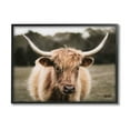 thumbnail image 1 of Stupell Industries Peaceful Cattle Rural Open Farmland Photograph Black Framed Art Print Wall Art, Design by Dakota Diener, 1 of 7
