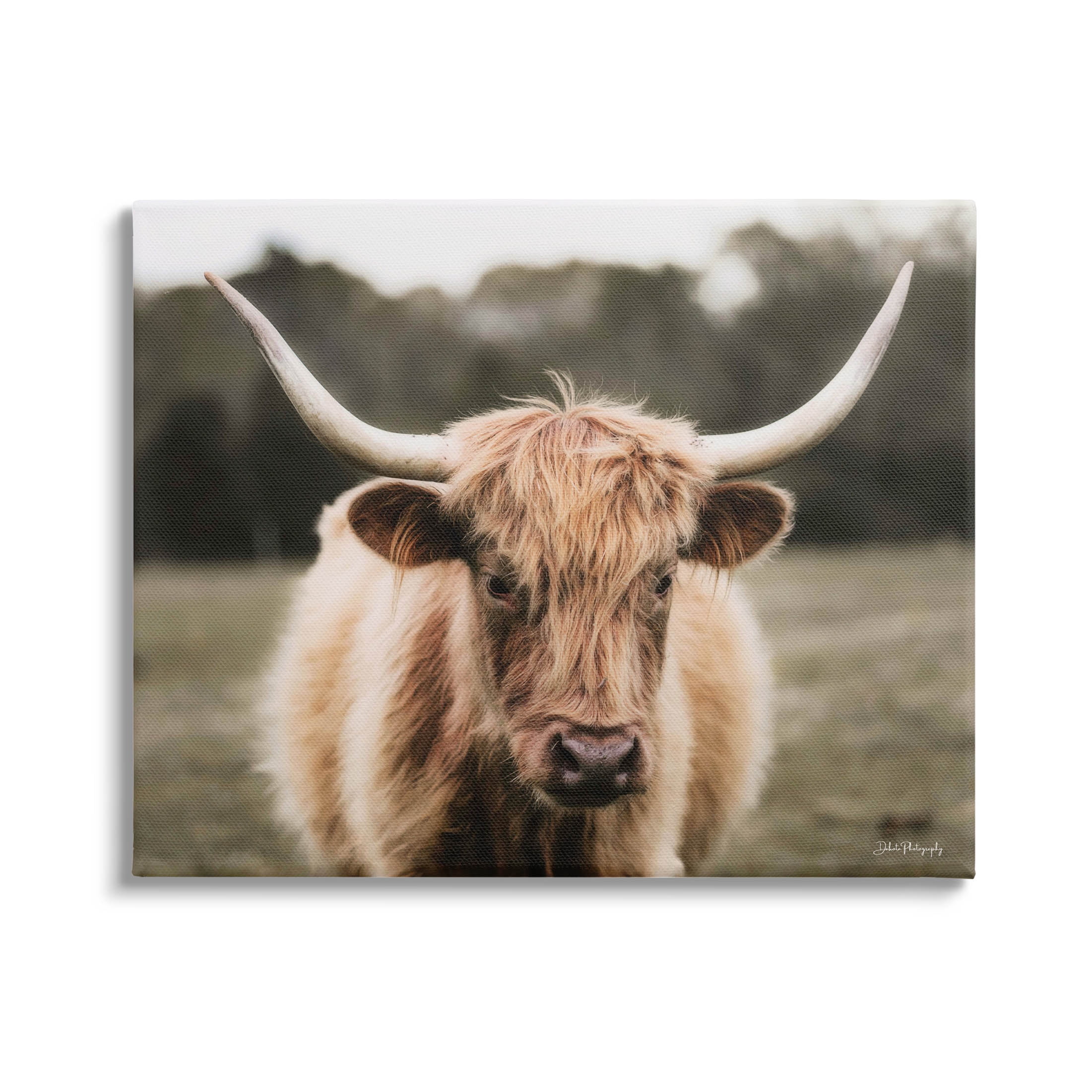 Stupell Industries Peaceful Cattle Rural Open Farmland Photograph Gallery Wrapped Canvas Print Wall Art, Design by Dakota Diener