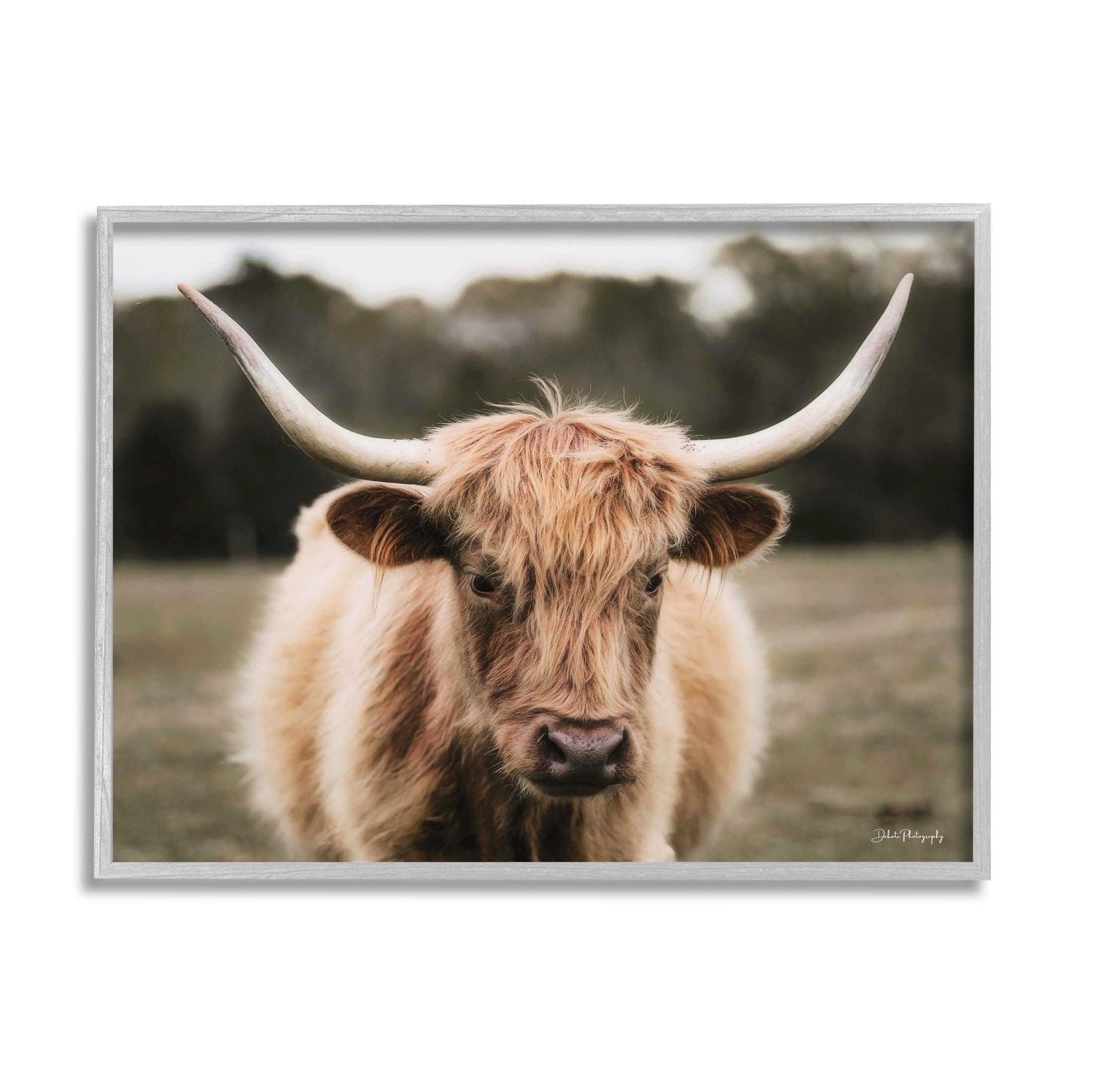 Stupell Industries Peaceful Cattle Rural Open Farmland Photograph Gray Framed Art Print Wall Art, Design by Dakota Diener