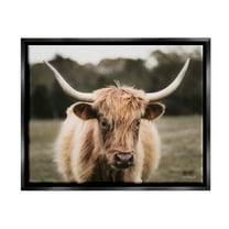 Stupell Industries Peaceful Cattle Rural Open Farmland Photograph Jet Black Floating Framed Canvas Print Wall Art, Design by Dakota Diener