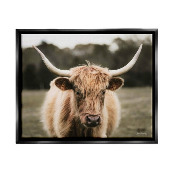 Stupell Industries Peaceful Cattle Rural Open Farmland Photograph Jet Black Floating Framed Canvas Print Wall Art, Design by Dakota Diener