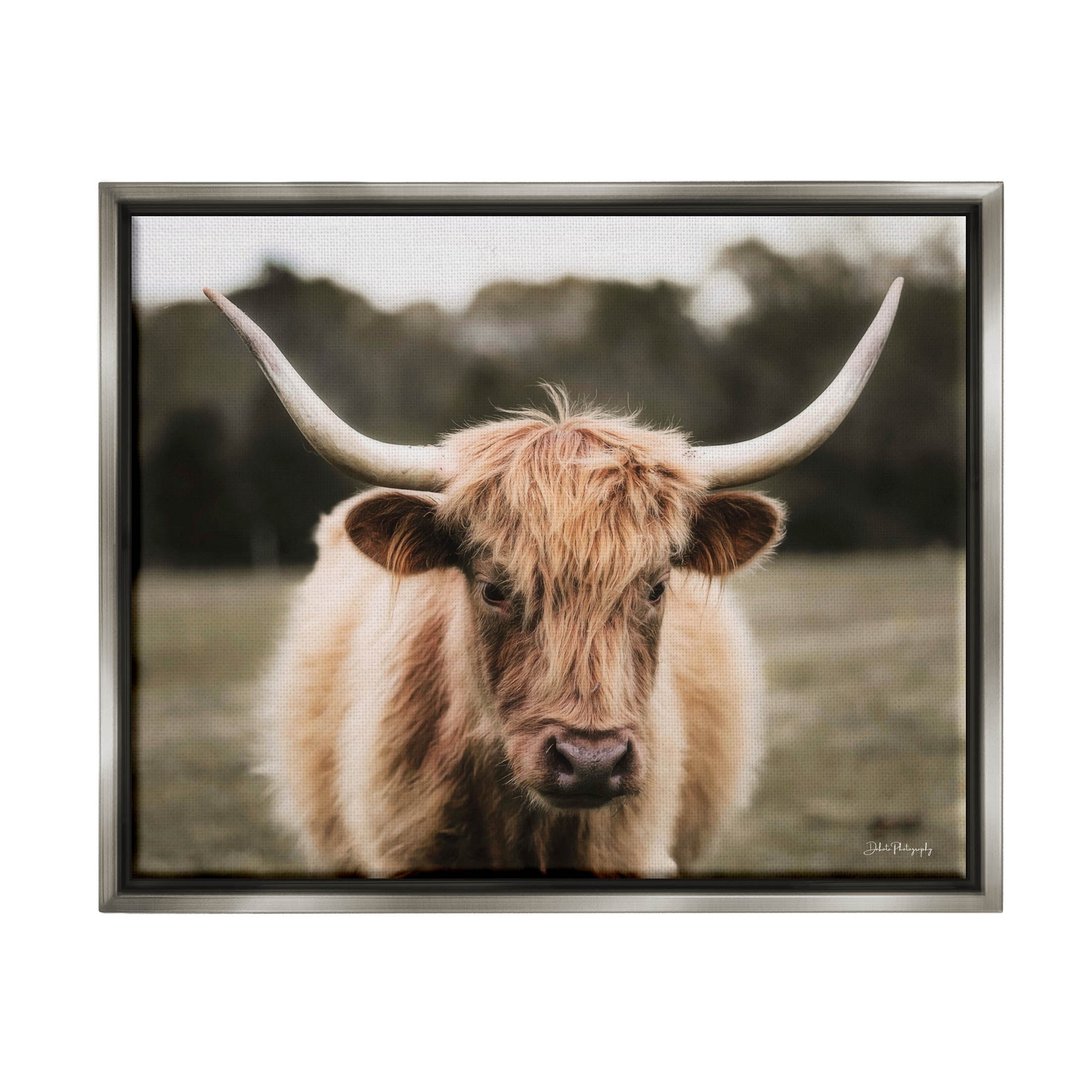 Stupell Industries Peaceful Cattle Rural Open Farmland Photograph Luster Gray Floating Framed Canvas Print Wall Art, Design by Dakota Diener