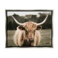 thumbnail image 1 of Stupell Industries Peaceful Cattle Rural Open Farmland Photograph Luster Gray Floating Framed Canvas Print Wall Art, Design by Dakota Diener, 1 of 6