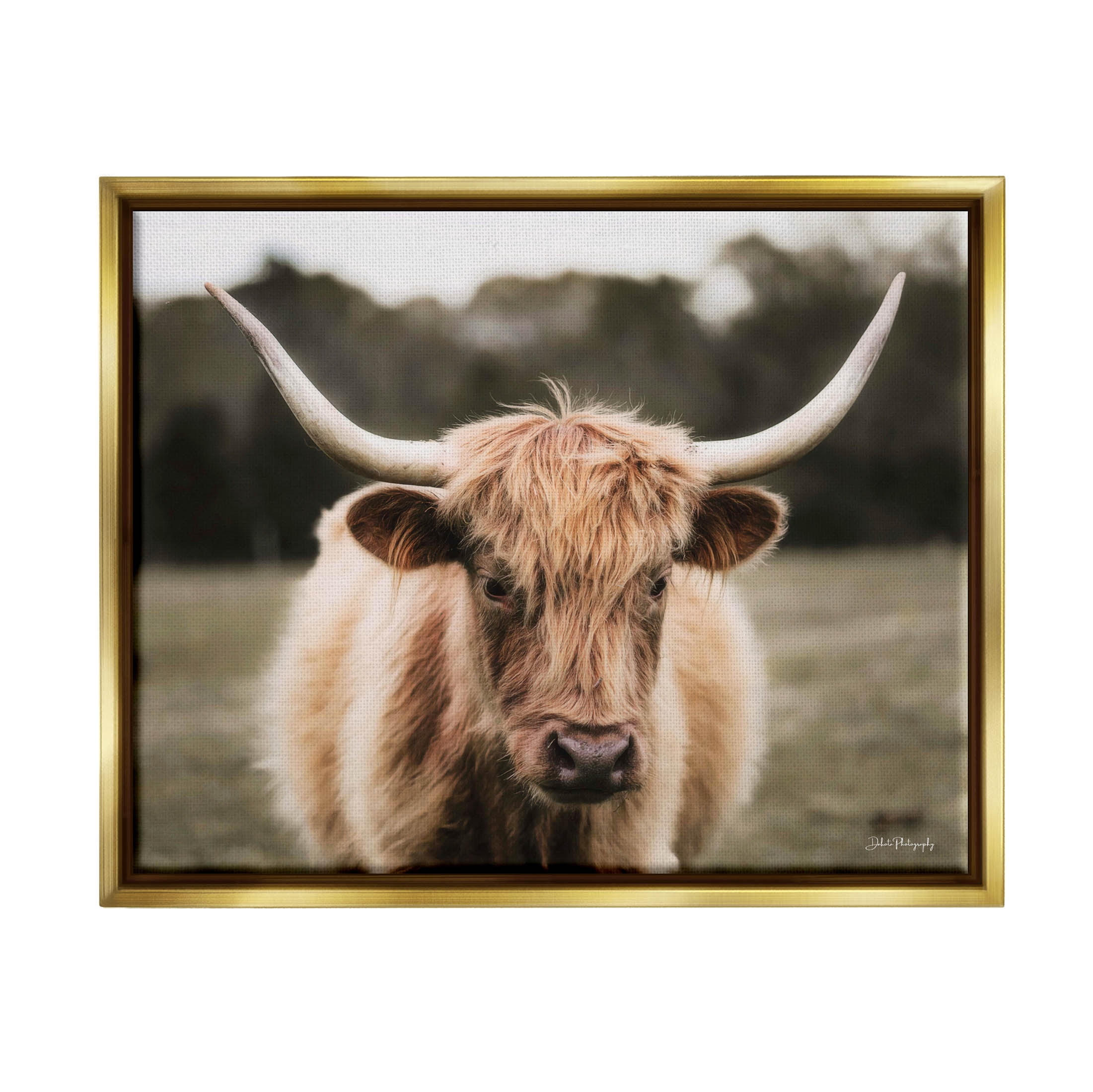 Stupell Industries Peaceful Cattle Rural Open Farmland Photograph Metallic Gold Floating Framed Canvas Print Wall Art, Design by Dakota Diener