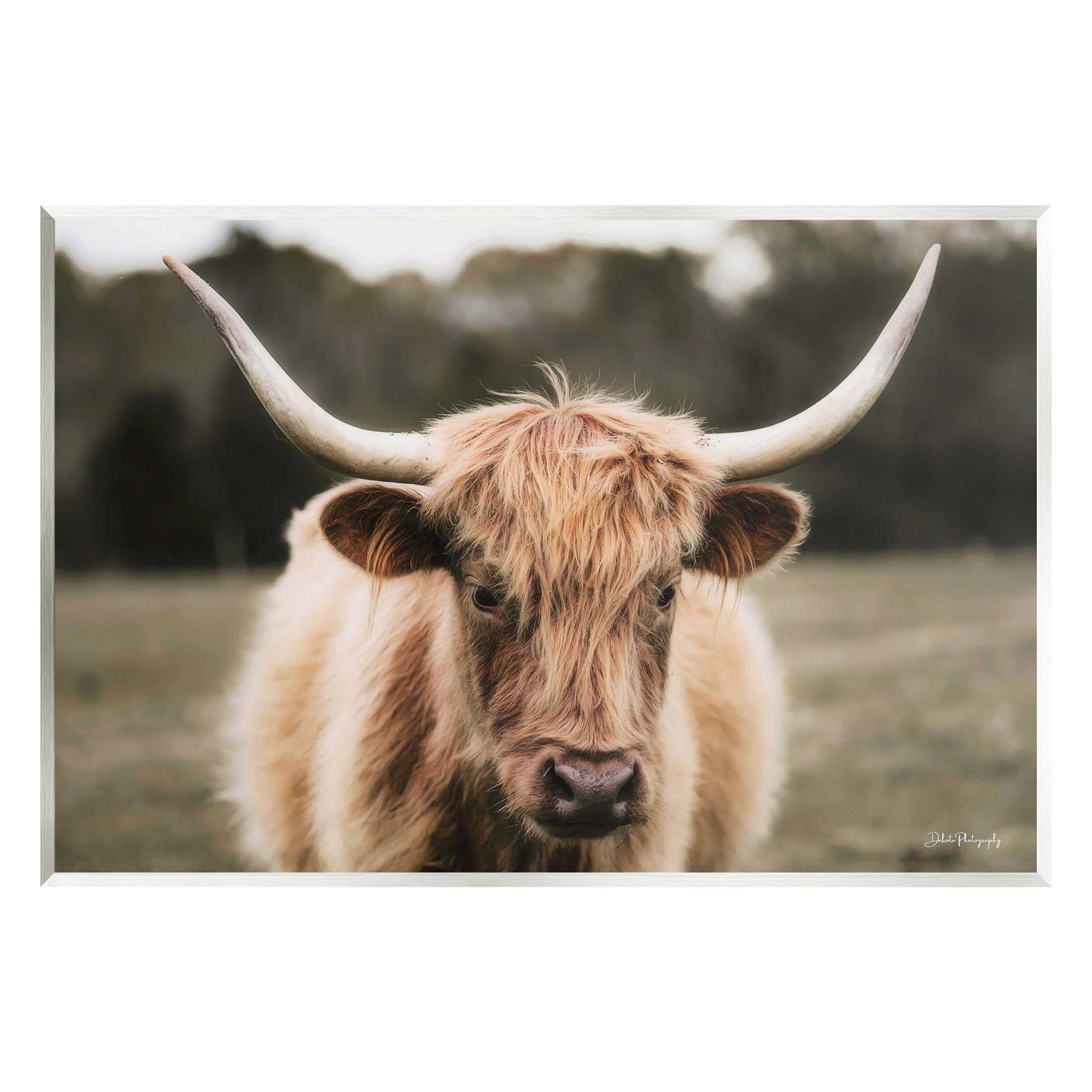 Stupell Industries Peaceful Cattle Rural Open Farmland Photograph Unframed Art Print Wall Art, Design by Dakota Diener