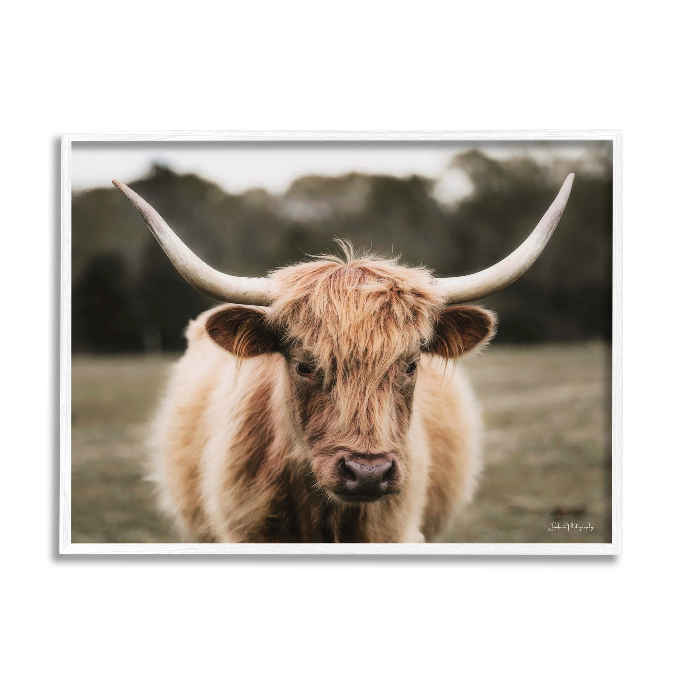 Stupell Industries Peaceful Cattle Rural Open Farmland Photograph White Framed Art Print Wall Art, Design by Dakota Diener