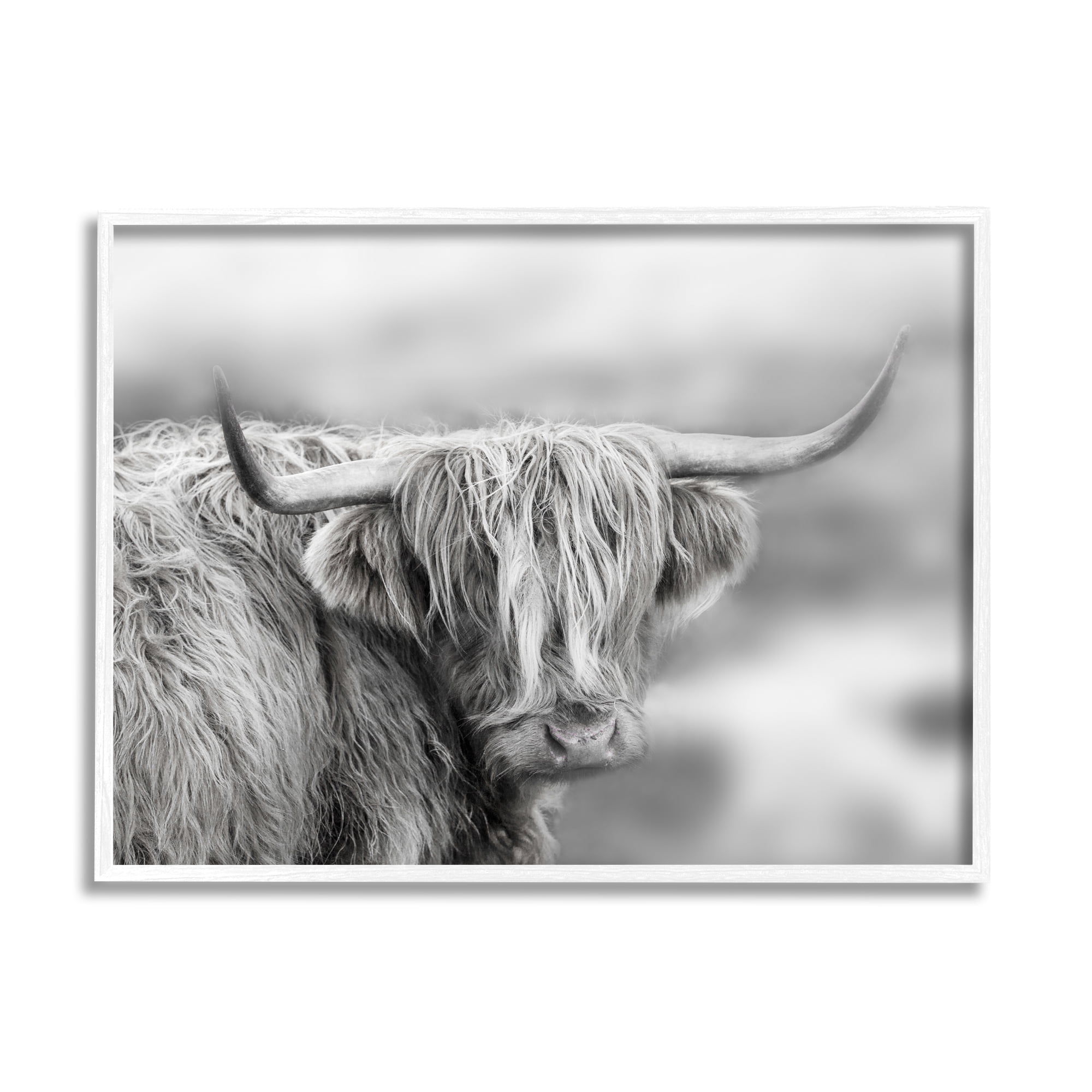 Stupell Industries Peaceful Detailed Monochrome Longhorn Cattle Portrait , 14 x 11, Design by Danita Delimont