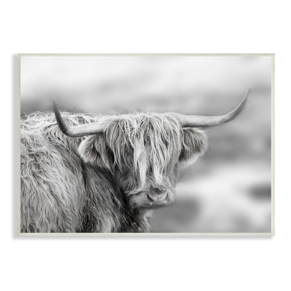 Stupell Industries Peaceful Detailed Monochrome Longhorn Cattle Portrait , 15 x 10, Design by Danita Delimont