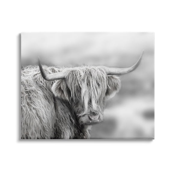 Stupell Industries Peaceful Detailed Monochrome Longhorn Cattle Portrait , 20 x 16, Design by Danita Delimont