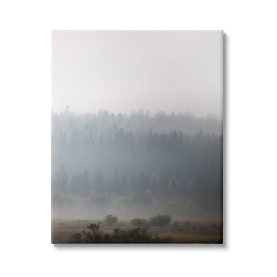 Stupell Industries Peaceful Fog Rural Landscape Woodlands Trees Clouds Canvas Wall Art, 16 x 20, Design by Carol Robinson