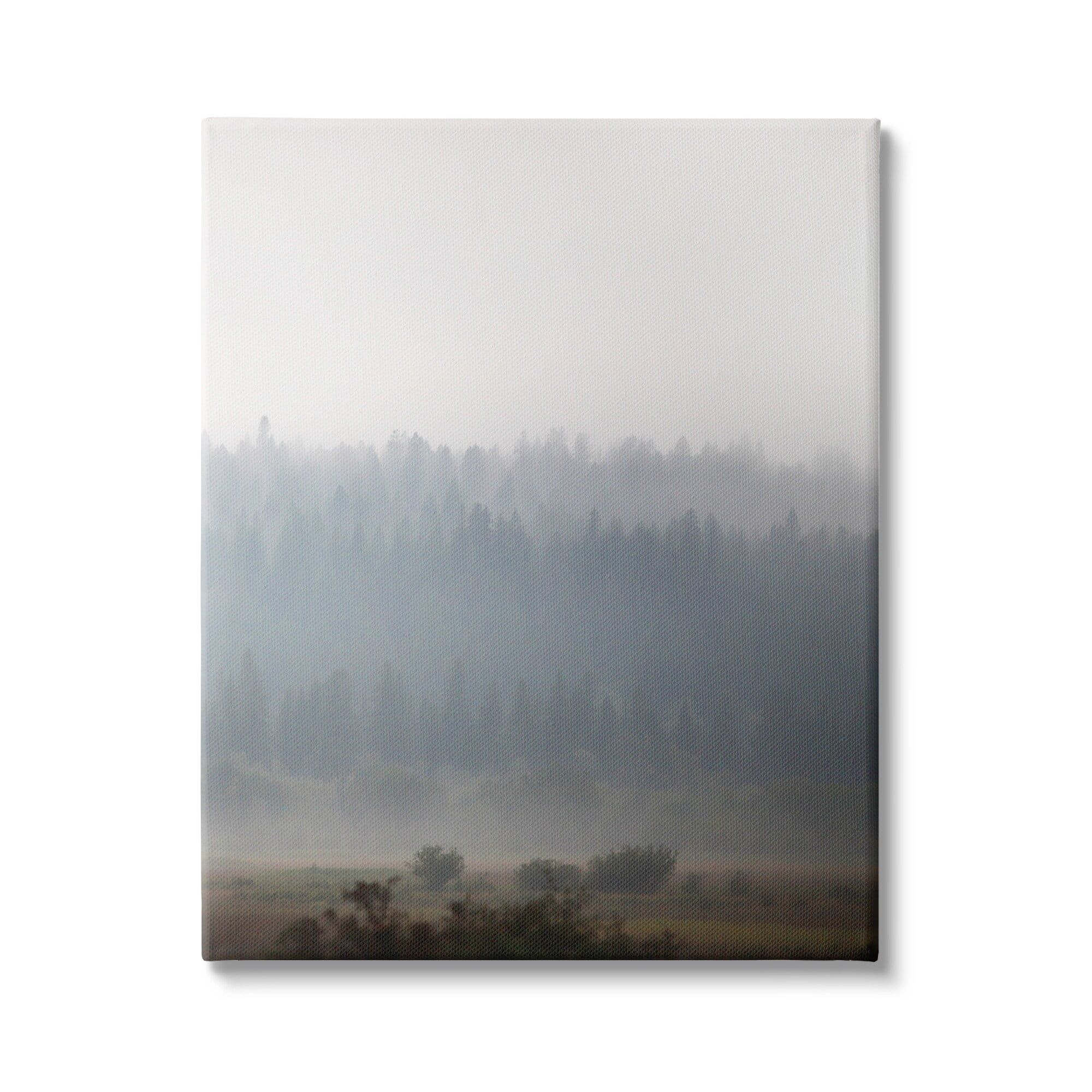 Stupell Industries Peaceful Fog Rural Landscape Woodlands Trees Clouds Canvas Wall Art, 36 x 48, Design by Carol Robinson