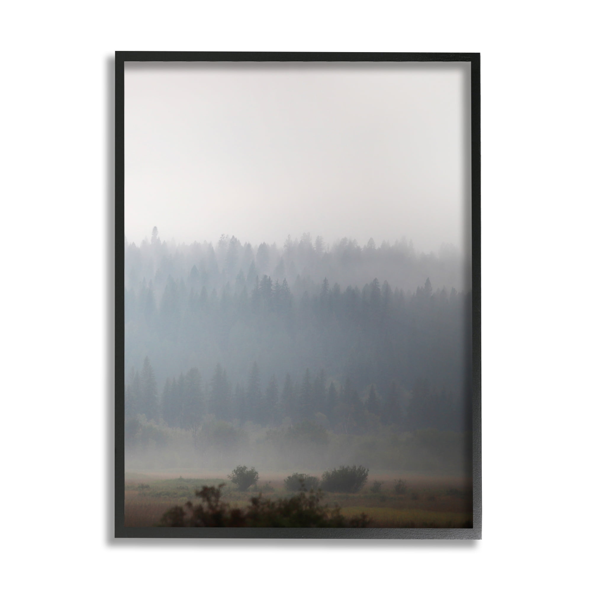 Stupell Industries Peaceful Fog Rural Landscape Woodlands Trees Clouds Framed Wall Art, 24 x 30, Design by Carol Robinson