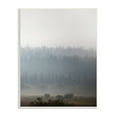 thumbnail image 1 of Stupell Industries Peaceful Fog Rural Landscape Woodlands Trees Clouds Wood Wall Art, 10 x 15, Design by Carol Robinson, 1 of 5