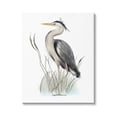 thumbnail image 1 of Stupell Industries Peaceful Heron Bird Standing Amidst Wild Grass Graphic Art Gallery Wrapped Canvas Print Wall Art, Design by Studio Q, 1 of 5
