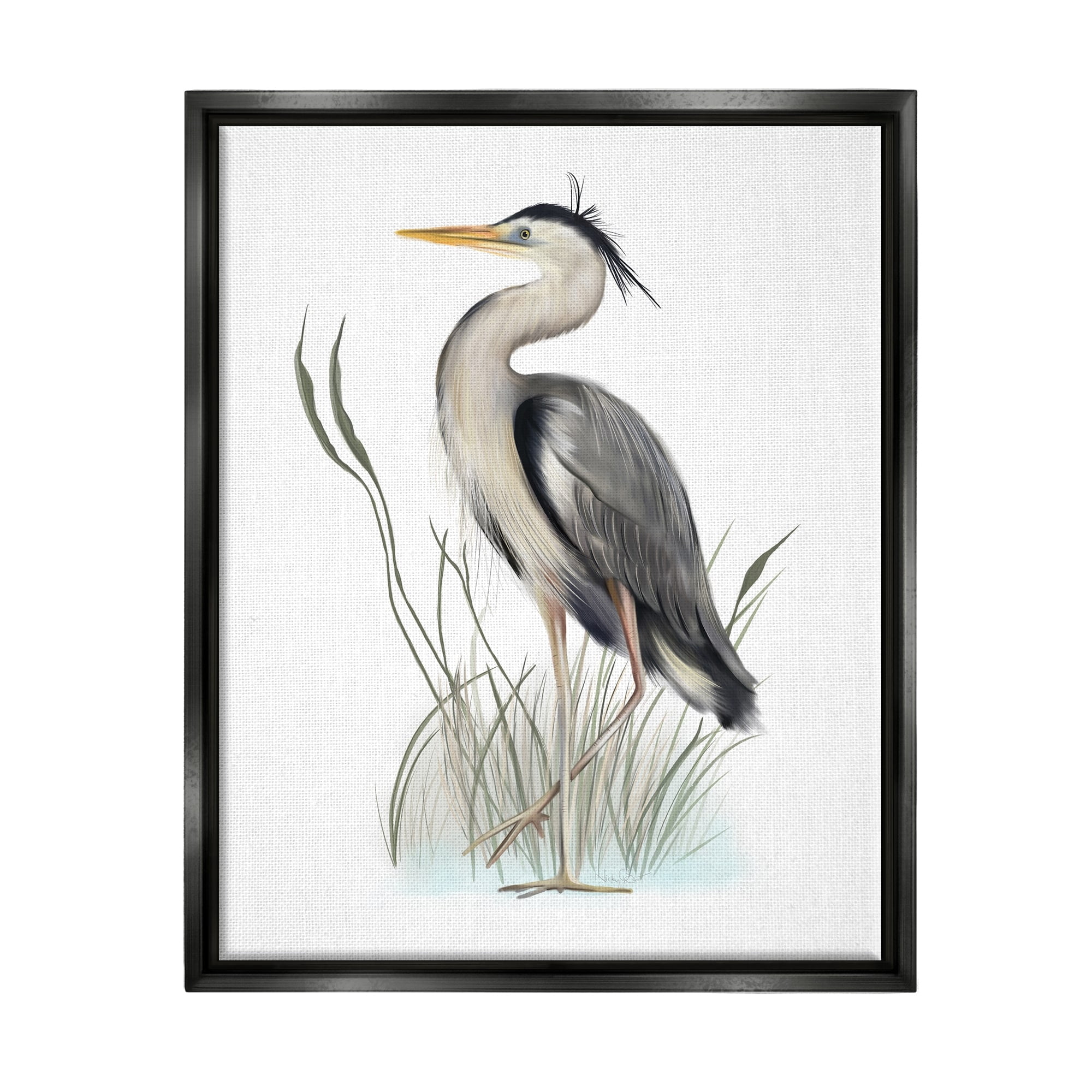 Stupell Industries Peaceful Heron Bird Standing Amidst Wild Grass Graphic Art Jet Black Floating Framed Canvas Print Wall Art, Design by Studio Q
