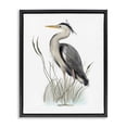 thumbnail image 1 of Stupell Industries Rustic Lodge Peaceful Heron Bird Standing Amidst Wild Grass Black Floating Frame Canvas Art, 17 x 21, by Studio Q, 1 of 7