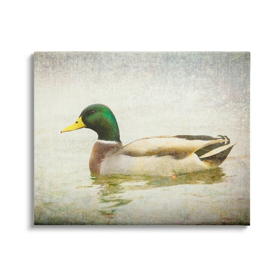 Stupell Industries Peaceful Mallard Duck Bird Swimming Water Detailed Canvas Wall Art, 30 x 24, Design by Daniel Sproul