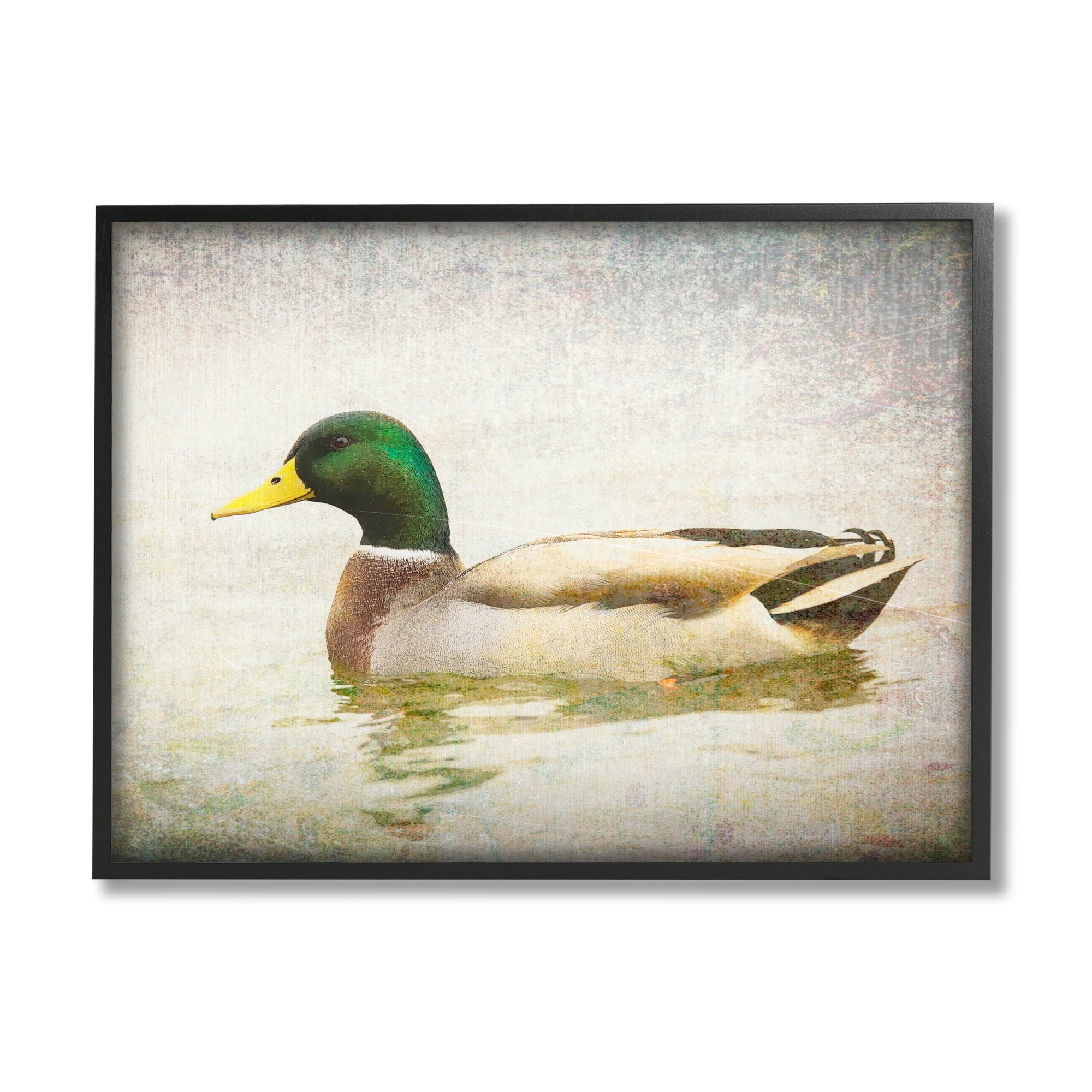 Stupell Industries Peaceful Mallard Duck Bird Swimming Water Detailed Framed Wall Art, 20 x 16, Design by Daniel Sproul
