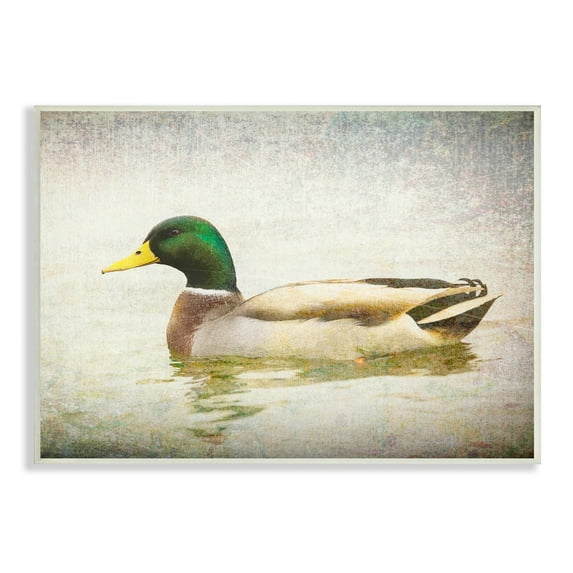 Stupell Industries Peaceful Mallard Duck Bird Swimming Water Detailed Wood Wall Art, 15 x 10, Design by Daniel Sproul
