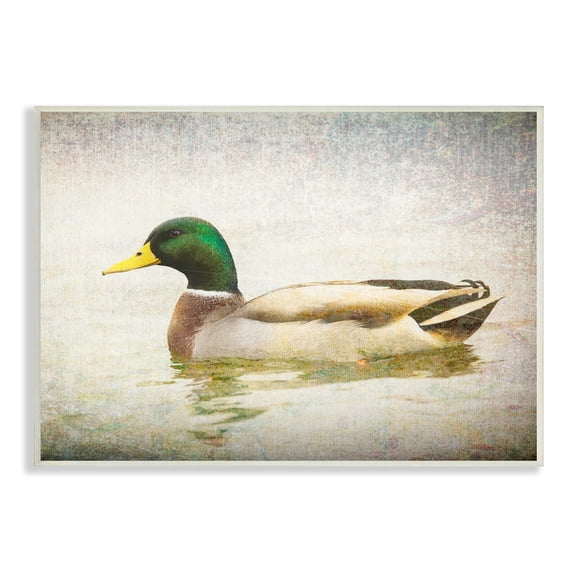 Stupell Industries Peaceful Mallard Duck Bird Swimming Water Detailed Wood Wall Art, 19 x 13, Design by Daniel Sproul