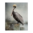 thumbnail image 1 of Stupell Industries Peaceful Marsh Perch Canvas Wall Art design by Kelley Parker, 30 x 24, 1 of 7