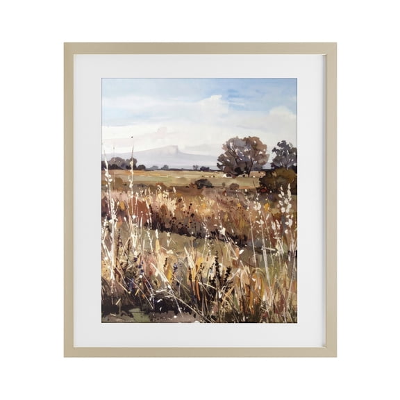 Stupell Industries Peaceful Meadow Expression Birch Framed Print Under Glass, design by Alonza Saunders