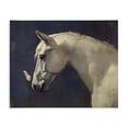 thumbnail image 1 of Stupell Industries Transitional Peaceful Meeting Horse & Butterfly Canvas Art, 20 x 16, by Svetlana Aleynikova, 1 of 8