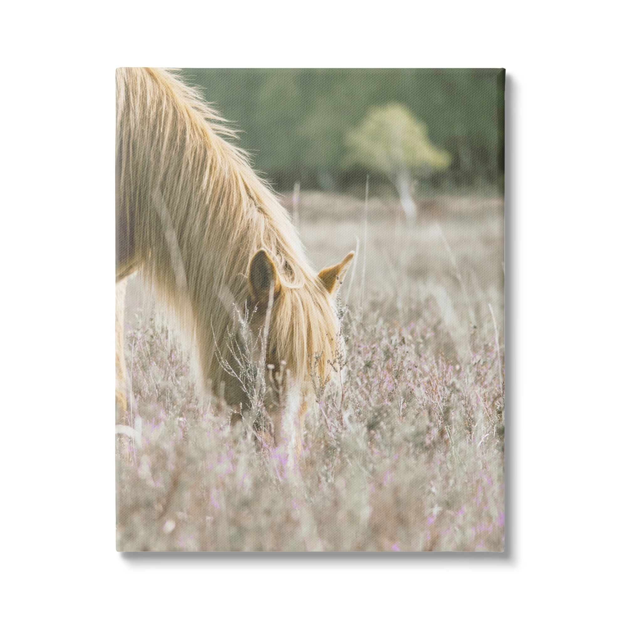 Stupell Industries Peaceful Palomino Horse Grazing Countryside Meadow Farmhouse Photography Gallery-Wrapped Canvas Print Wall Art, 16 x 20, Design by Leah Straatsma