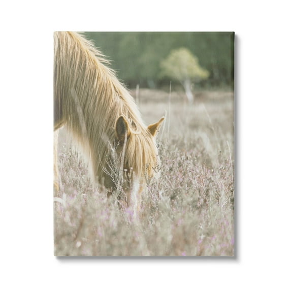 Stupell Industries Peaceful Palomino Horse Grazing Countryside Meadow Farmhouse Photography Gallery-Wrapped Canvas Print Wall Art, 24 x 30, Design by Leah Straatsma