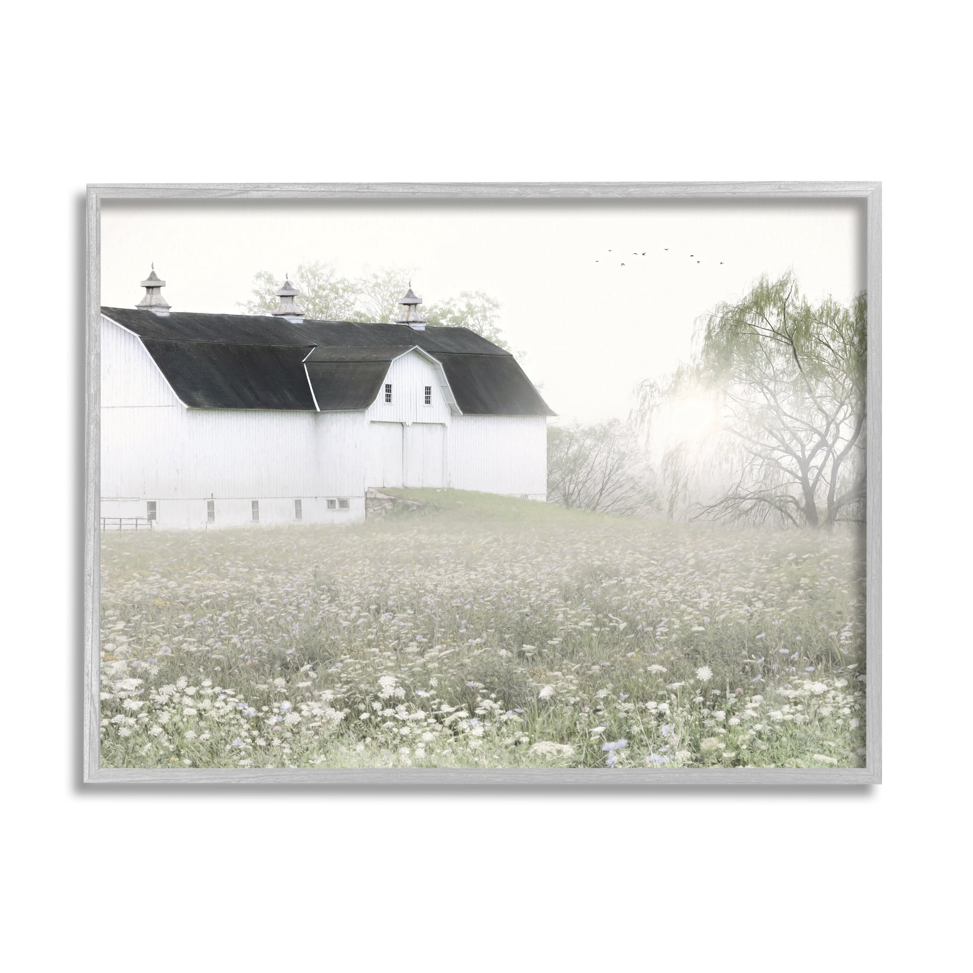 Peaceful White Barn Meadow Blooming Buds Canvas Print with Gray Wood Frame