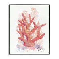 Stupell Industries Peach Coastal Coral Black Framed Giclee Art design by Matthew Piotrowicz, 14 x 11