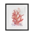thumbnail image 1 of Stupell Industries Peach Coastal Coral Black Framed Print Under Glass design by Matthew Piotrowicz, 16 x 13, 1 of 10