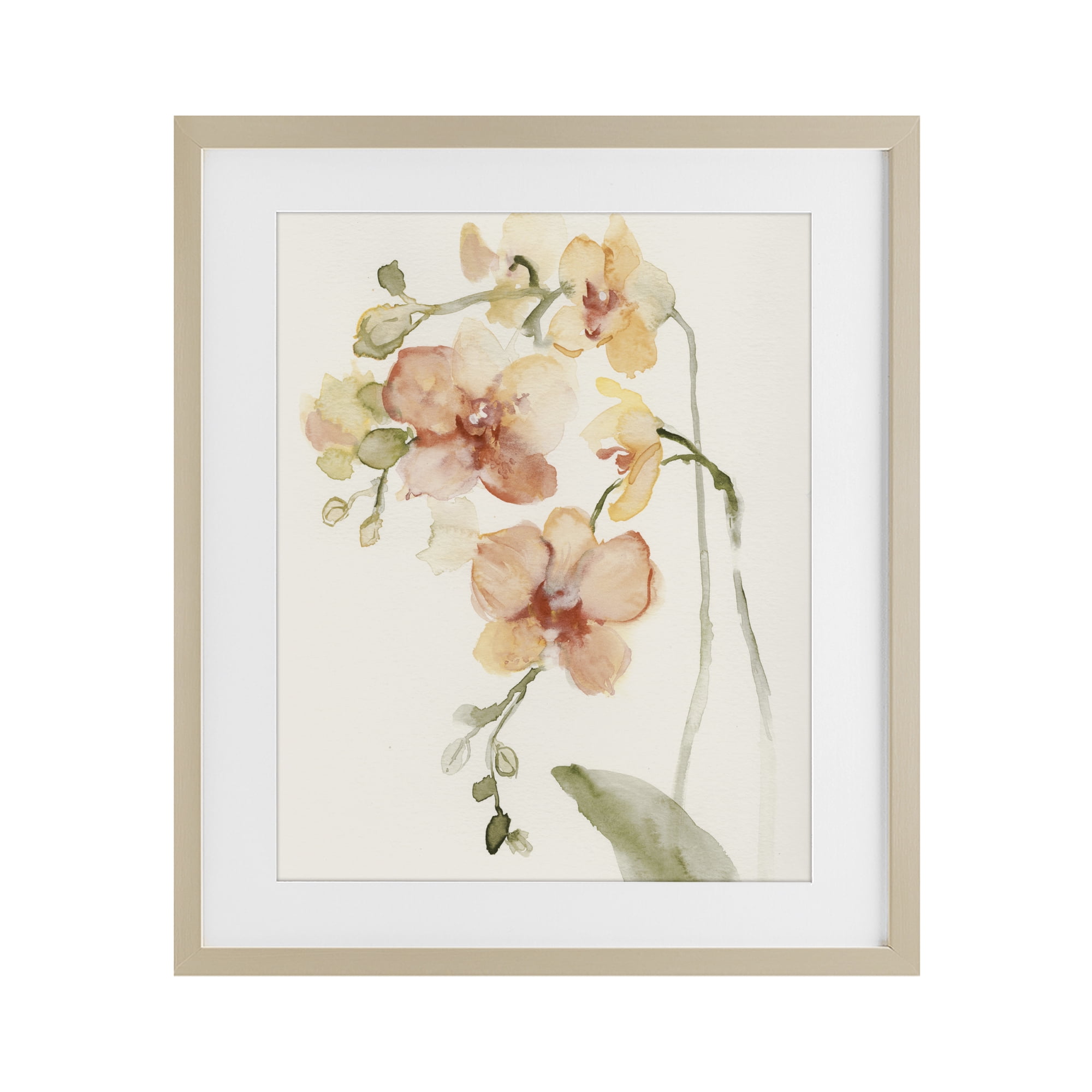 Stupell Industries Peach Orchid in Bloom Birch Framed Print Under Glass, design by Victoria Barnes