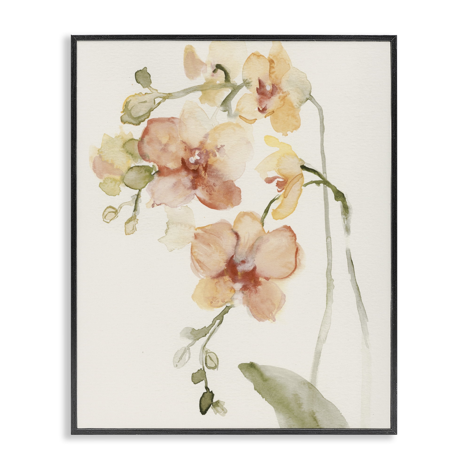 Stupell Industries Peach Orchid in Bloom Black Framed Giclee Art, design by Victoria Barnes