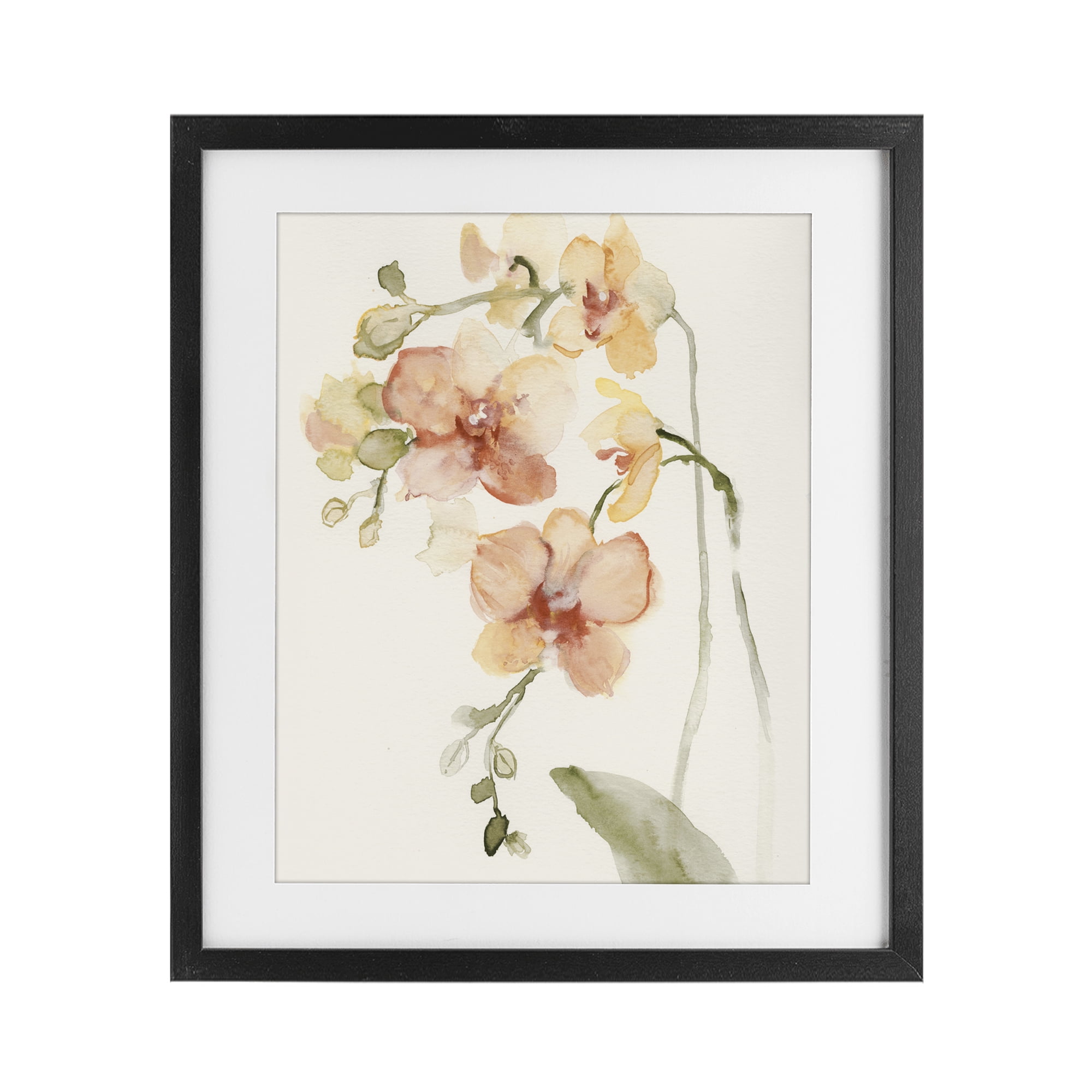 Stupell Industries Peach Orchid in Bloom Black Framed Print Under Glass, design by Victoria Barnes