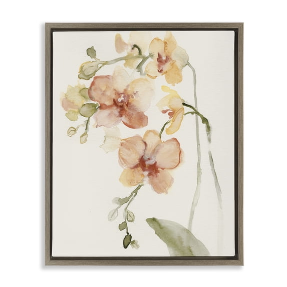 Stupell Industries Transitional Peach Orchid in Bloom Brown Floating Frame Canvas Art, 25 x 31, by Victoria Barnes