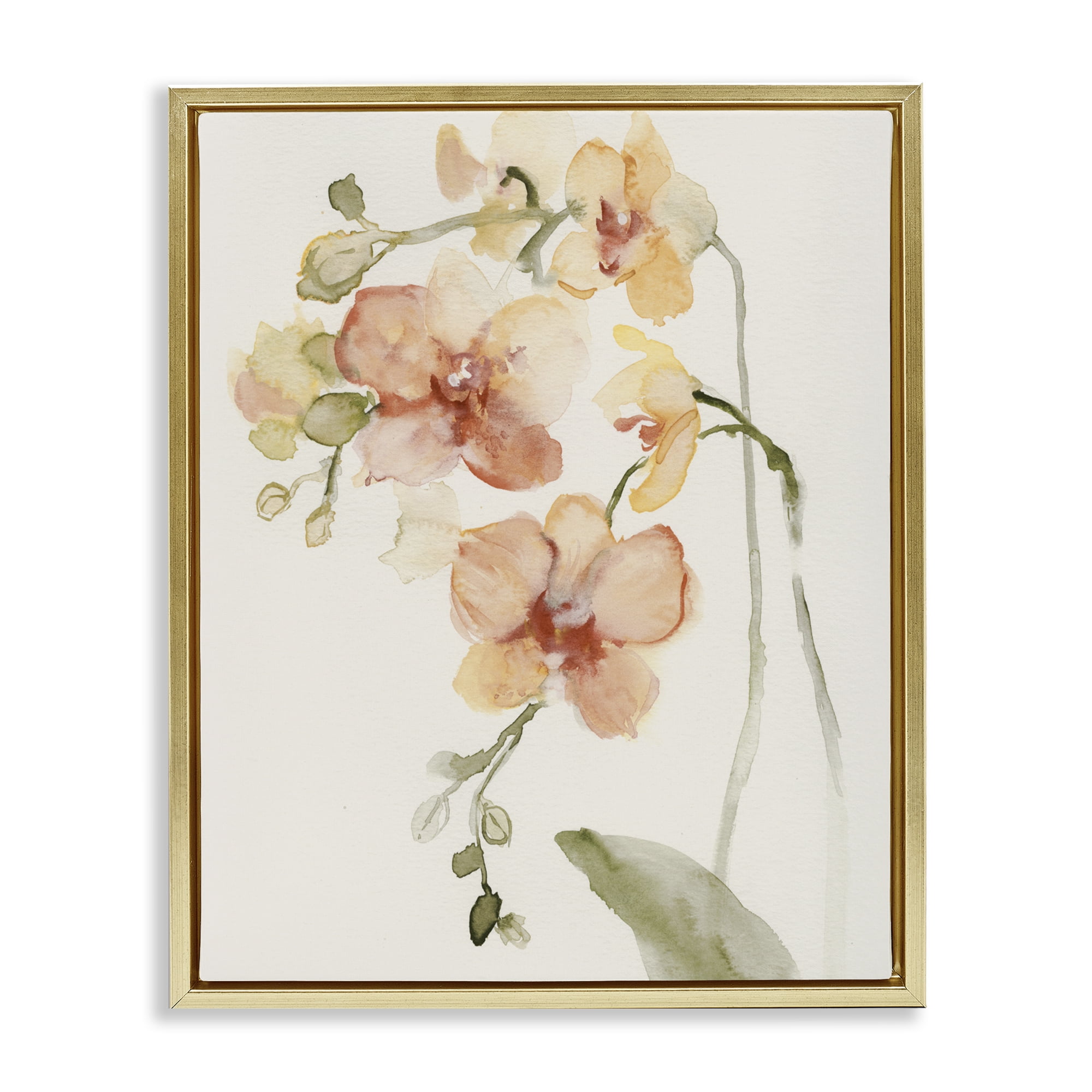 Stupell Industries Peach Orchid in Bloom Gold Framed Floater Canvas Wall Art, design by Victoria Barnes