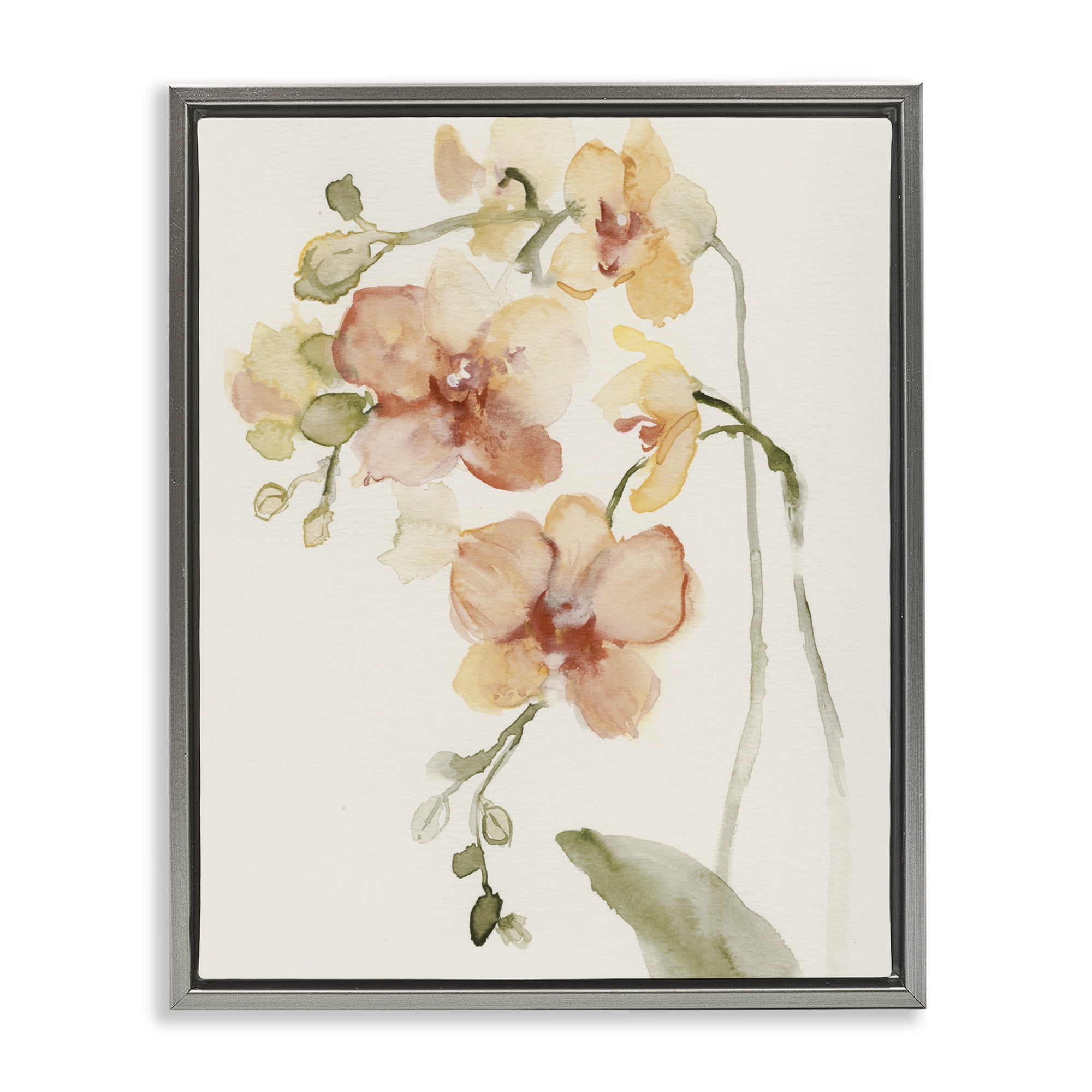 Stupell Industries Peach Orchid in Bloom Gray Framed Floater Canvas Wall Art, design by Victoria Barnes