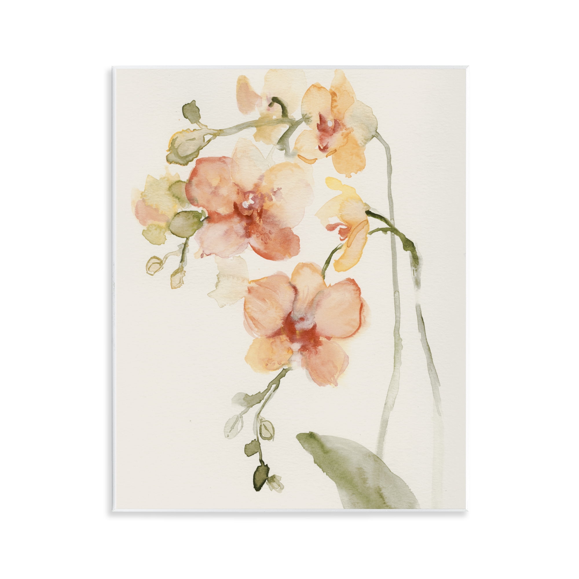 Stupell Industries Peach Orchid in Bloom Wall Plaque Art, design by Victoria Barnes