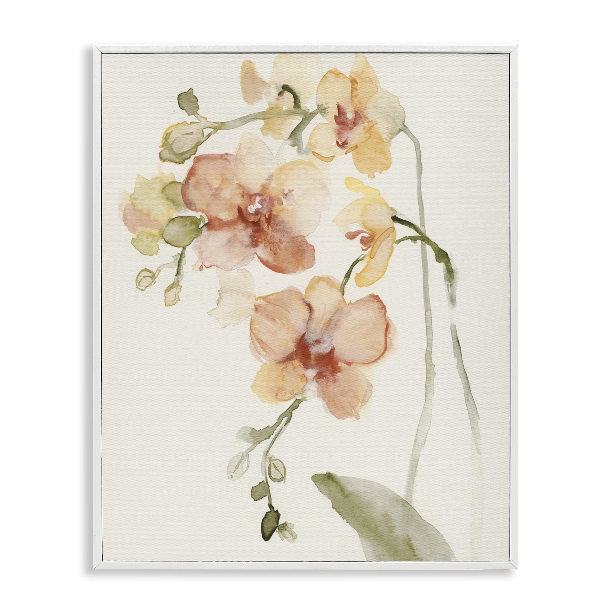 Stupell Industries Peach Orchid in Bloom White Framed Giclee Art, design by Victoria Barnes