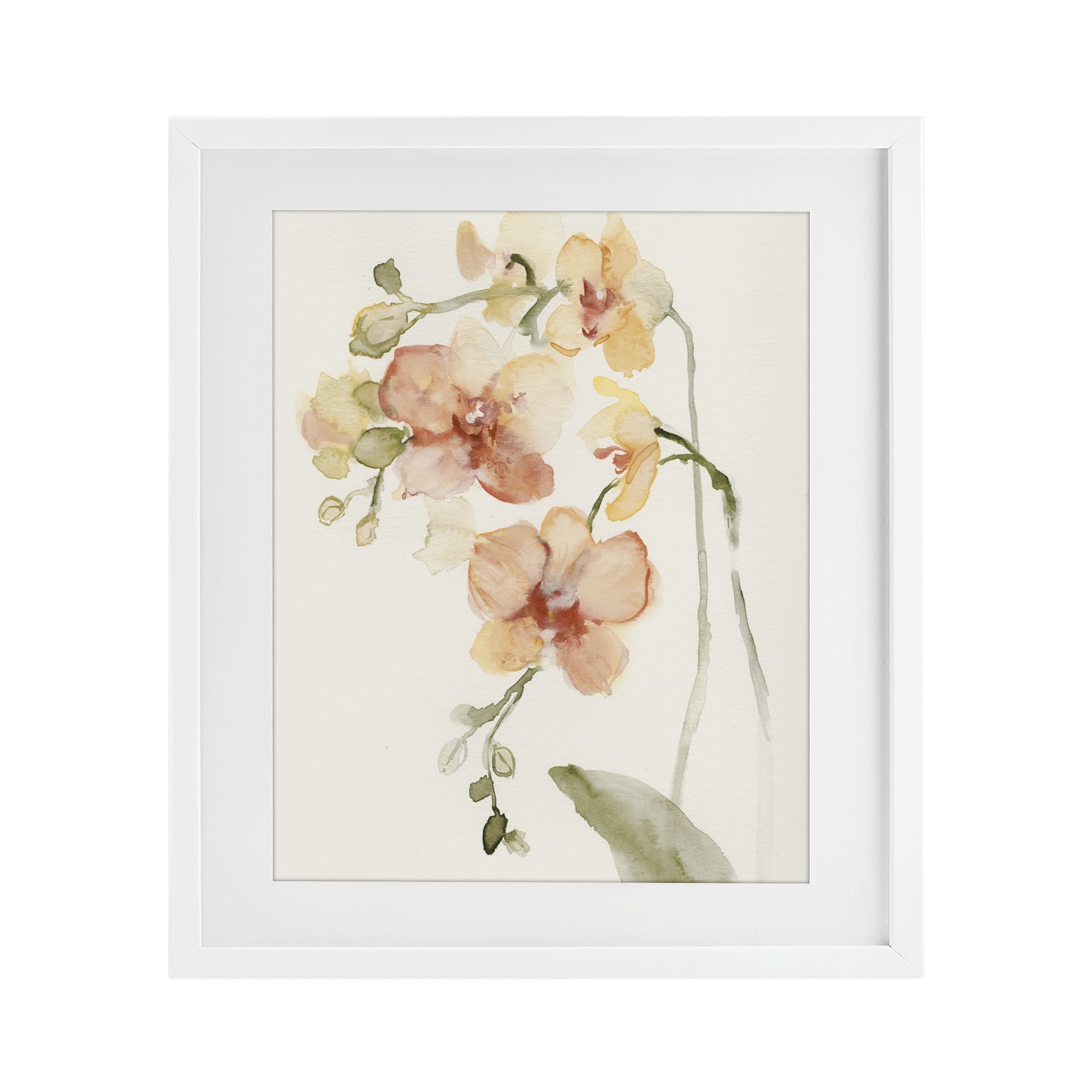 Stupell Industries Peach Orchid in Bloom White Framed Print Under Glass, design by Victoria Barnes