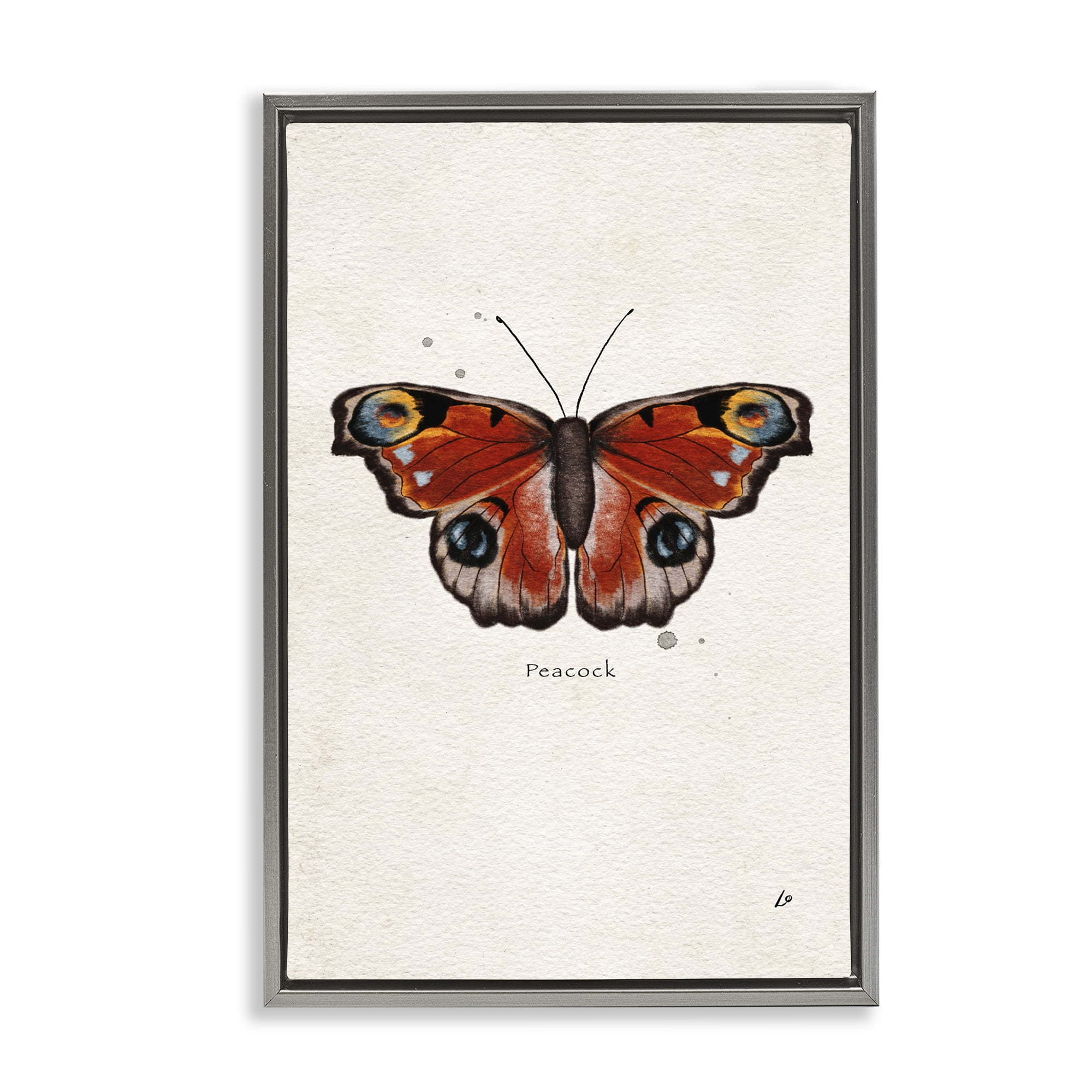 Stupell Industries Peacock Butterfly Study Insects Painting Gray Floater Framed Canvas Art Print Wall Art, 21 x 31
