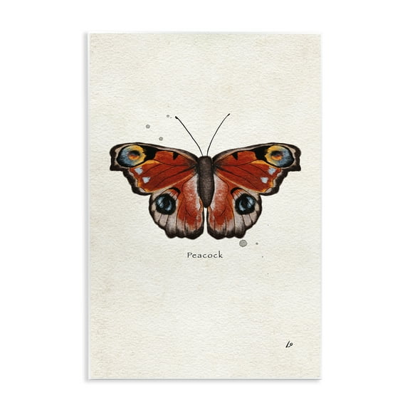 Stupell Industries Peacock Butterfly Study Insects Painting Unframed Art Print Wall Art, 10 x 15