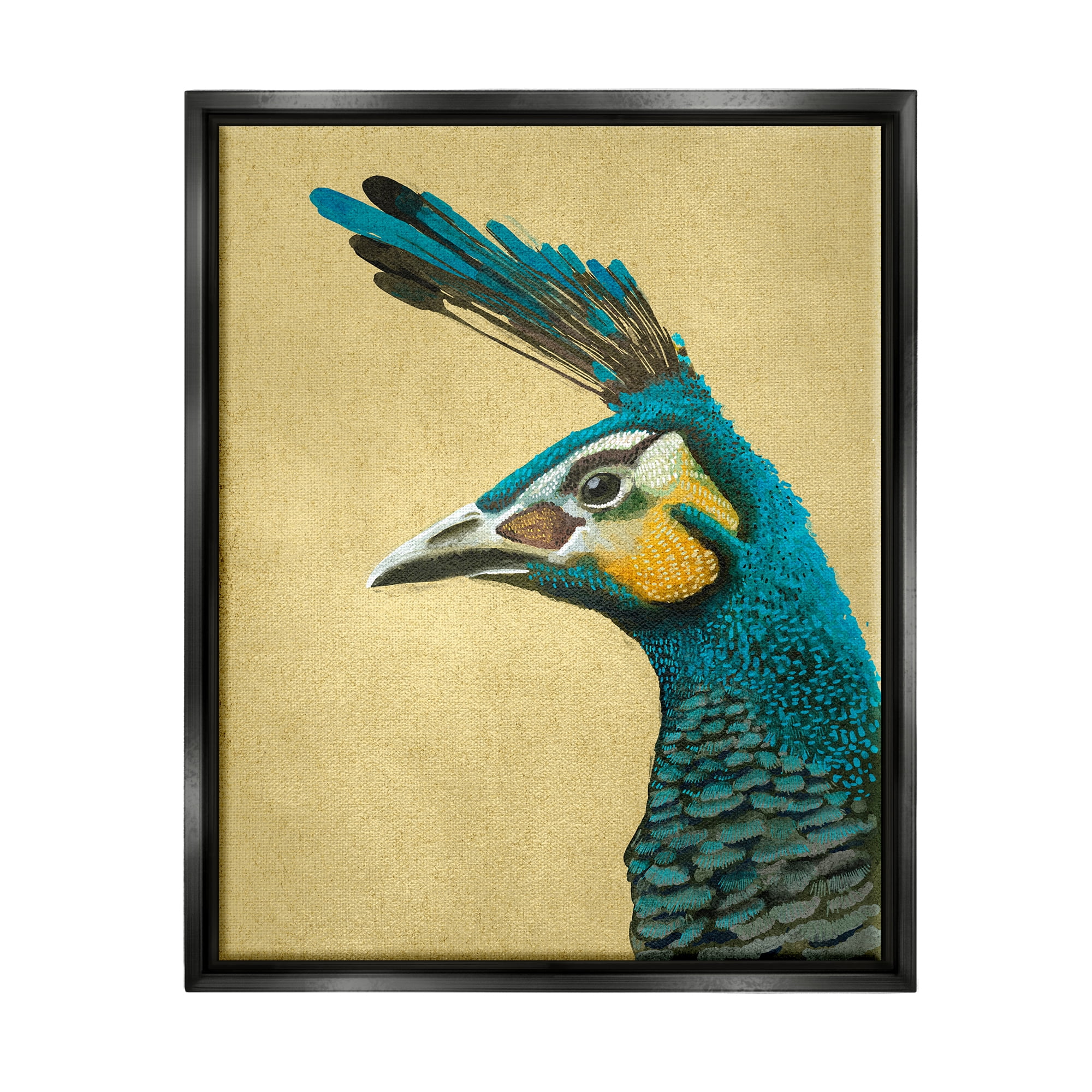 Stupell Industries Peacock Looking Left Animals & Insects Painting Black Floater Framed Canvas Art Print Wall Art, 17 x 21