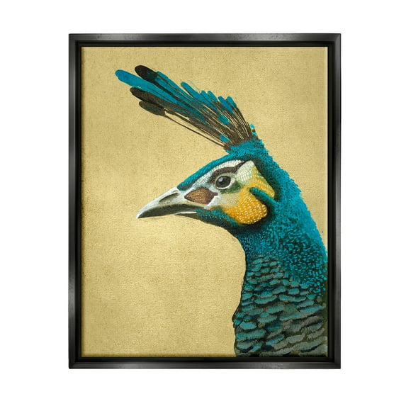 Stupell Industries Peacock Looking Left Animals & Insects Painting Black Floater Framed Canvas Art Print Wall Art, 17 x 21